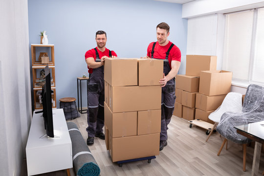 Riya Packers and Movers Shifting Service